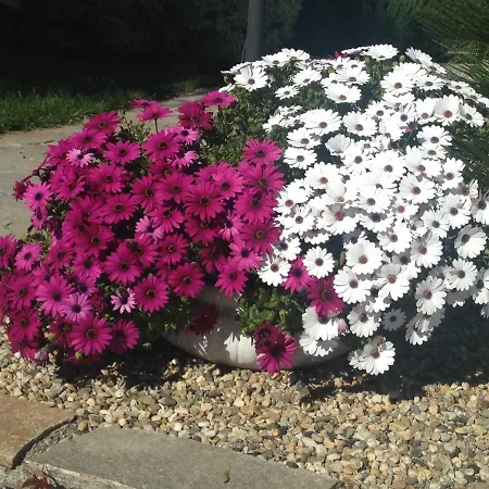 Little Paradise Διαμέρισμα Σαν Ρέμο